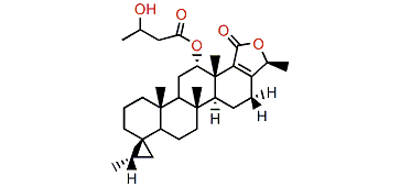 Honulactone A